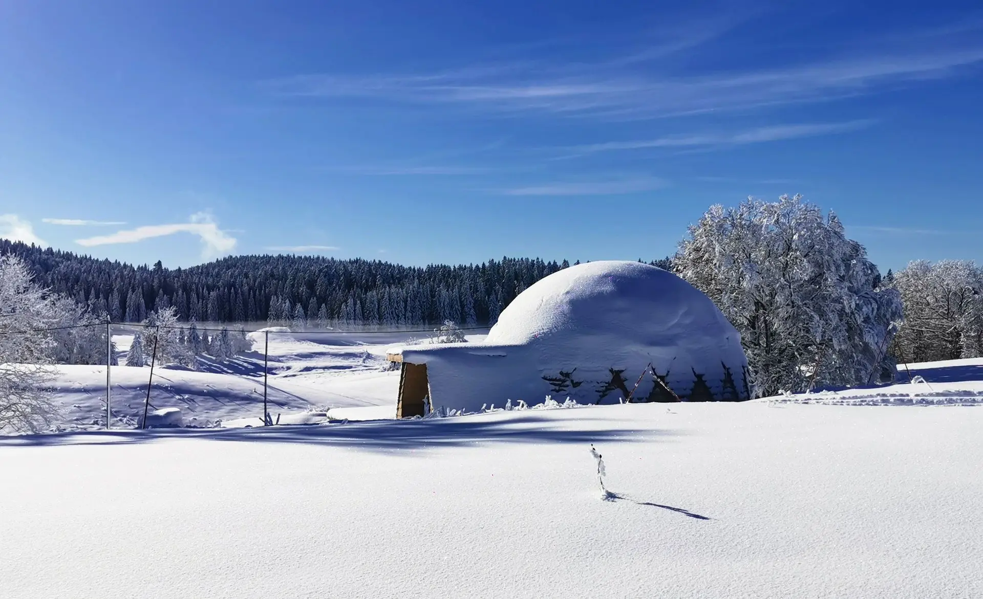 Vue panoramique du dôme géodésique sous la neige